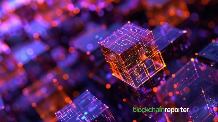Nillion Network and Cloudician Launch Privacy-First Petnet Node