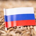 Russia Considers Crypto for Settling Grain Exports