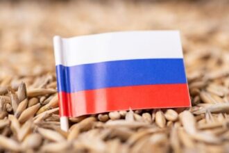 Russia Considers Crypto for Settling Grain Exports