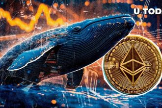 Ethereum Whale Capitulates? $12M ETH Dump Signals Fear