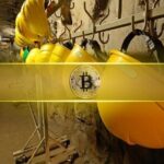 BTC.com Mining Pool Drives 98% of Bitcoin Miner Flows to Binance