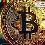 Bitwise Report Shows Public Firms and Funds Led Bitcoin Demand as Individuals Sold in 2025
