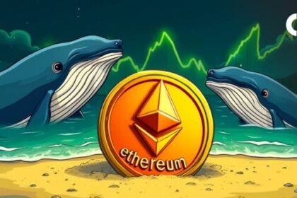 Ethereum Price Drops 10%, But On-Chain Data Shows Whales Know Something Big