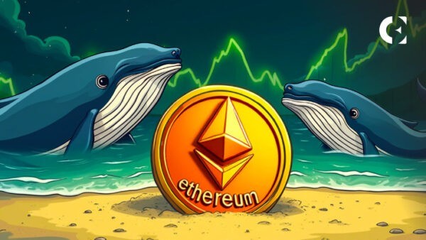 Ethereum Price Drops 10%, But On-Chain Data Shows Whales Know Something Big