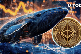 Massive Ethereum ICO Whale Suddenly Made $12 Million ETH Transfer to Top Exchange