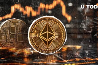 Ethereum Panic Selling? Major Wave From Small Investors