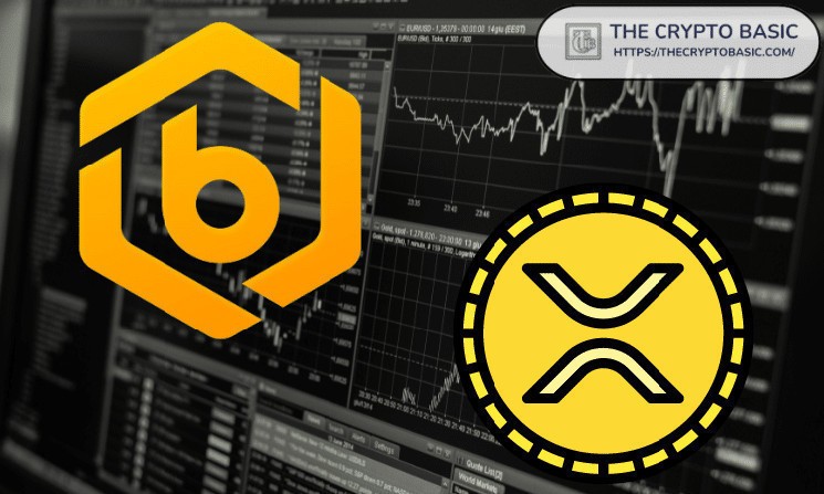 XRP Investor Reportedly Loses Thousands of Tokens on Bitrue, Alleges Insider Involvement