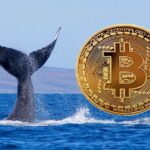 Whales Are Withdrawing Bitcoin from Exchanges at Record Levels – What Does This Mean?
