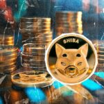 Major SHIB Ecosystem Token Guide Published by Shiba Inu Team