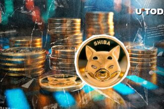 Major SHIB Ecosystem Token Guide Published by Shiba Inu Team