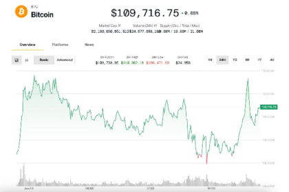 Bitcoin Rises to $110K as Altcoins Rally; Traders Skeptical of Breakout