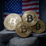 US Bitcoiners.