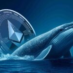 Can Ethereum Price Hit $4k Amid This Strong Support & Whale Accumulation?