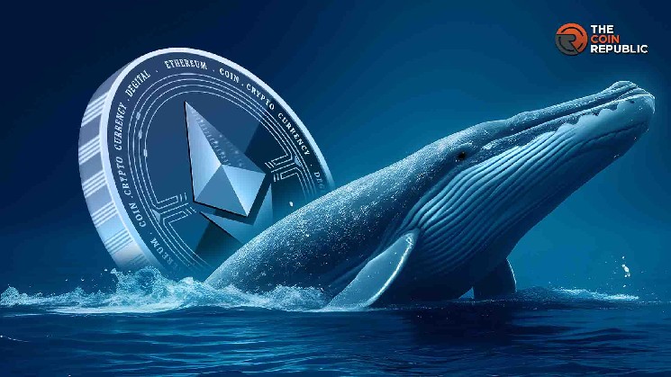 Can Ethereum Price Hit $4k Amid This Strong Support & Whale Accumulation?