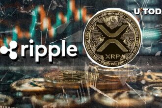 Will Ripple Be Seen as XRP Treasury Company?