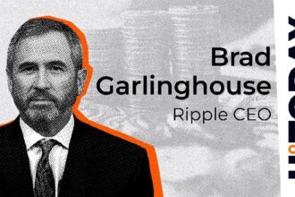 Ripple CEO Breaks Silence on Company's Academic Blockchain Vision
