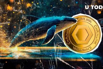 Chainlink Skyrockets 32% in Whale Transactions, LINK Price Surge to Watch