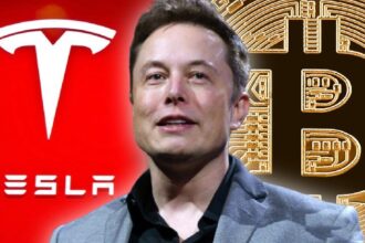 How Much Bitcoin Does Elon Musk Currently Hold? Here Are His Assets Following the Latest Changes