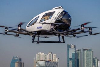 Shiba Inu explosion behind