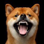 Dogecoin