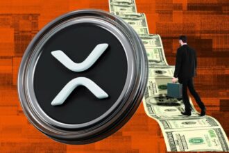 XRP Crash Money