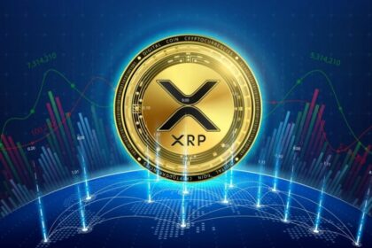 US Treasury Says Decentralized Crypto Markets Threaten National Security