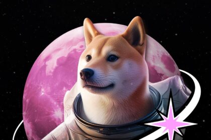 Moondoge Brings The Best of DOGE and MOONSHOT 
