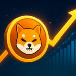 Shiba Inu with two presents