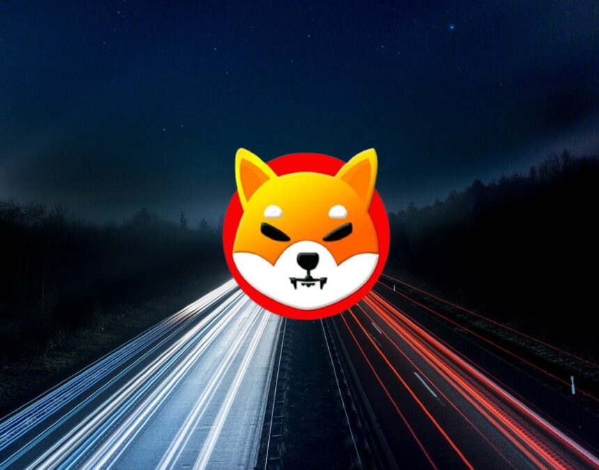 Shiba Inu