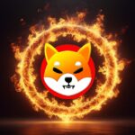 shiba inu shib burns shibarium fire