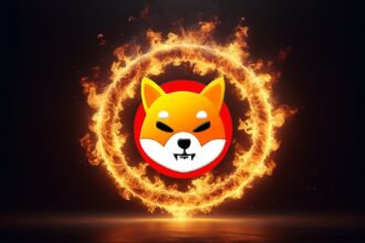 shiba inu shib burns shibarium fire