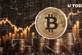 Bitcoin Historic Speech at $100 Marks 12 Years: Details