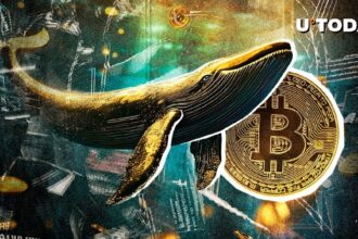 Mega Bitcoin Whale Accumulation Recorded