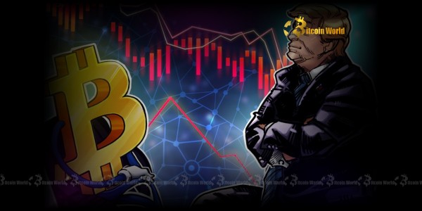 Is Your Bitcoin Treasury Strategy Truly Sustainable?