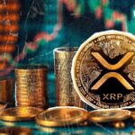 Mysterious 640,000,000 XRP Transfer Explodes XRP Army, Here’s What Really Happened