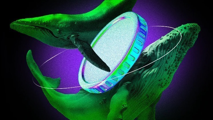 What Crypto Whales Are Buying Ahead of U.S. CPI Reveal