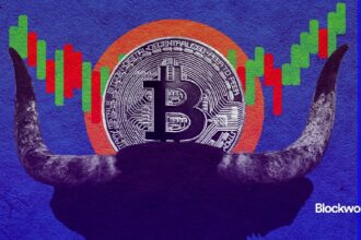 More crypto milestones expected in 2025 after new BTC high