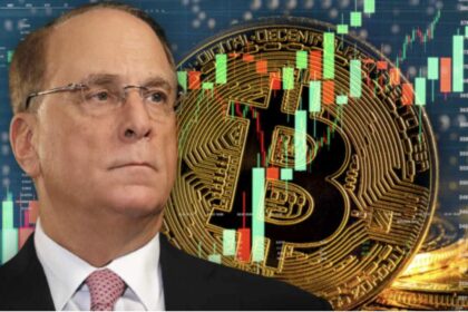 BlackRock CEO Bitcoin