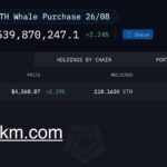 Ethereum Whale Portfolio