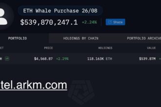 Ethereum Whale Portfolio