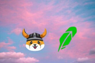 robinhood floki inu