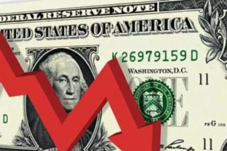 Does Crypto.com report to the IRS?