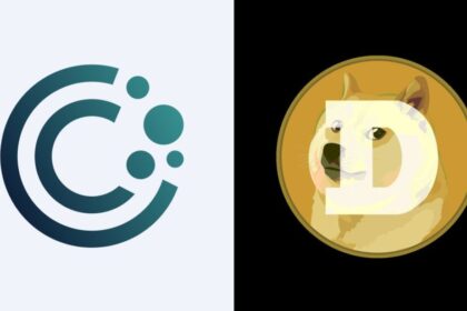CleanCore Dogecoin tresury