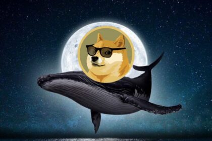 Dogecoin whale to the moon