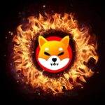 Shiba Inu Burns