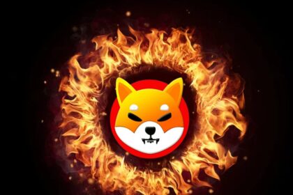 Shiba Inu Burns