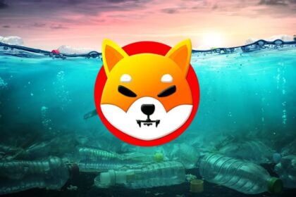 shiba inu underwater