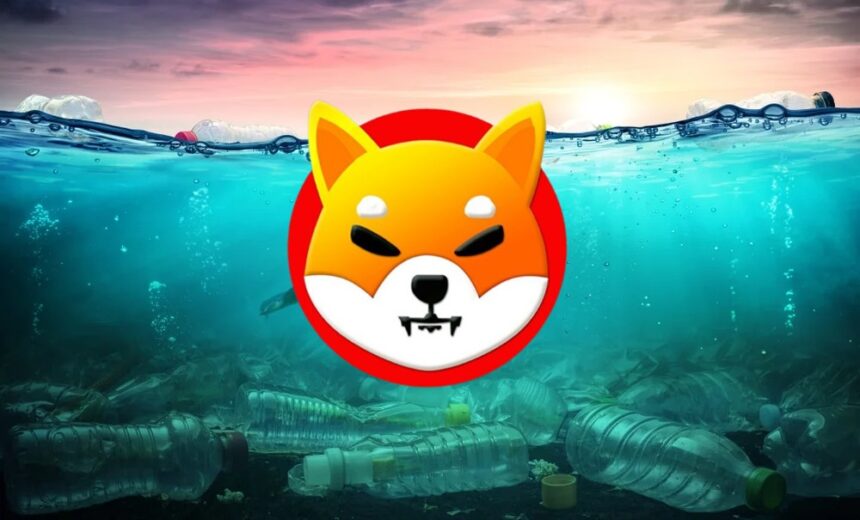 shiba inu underwater