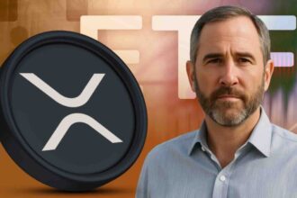 bitcoin btc up rally green