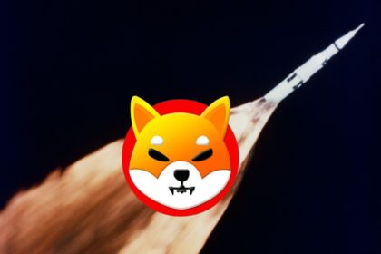 Shiba Inu Rocket Burn Moon